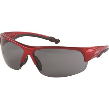 Zenith Safety Products - SEK286 Lunettes série Z1900