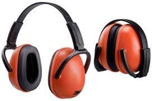 Picture for category Earmuffs